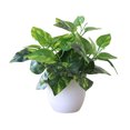 thumbnail image 1 of Artificial Potted Plant Leaf Simulation Leaves Home Office Desktop Greenery Decoration, 1 of 4