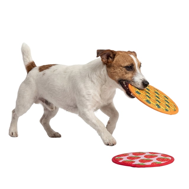 One Paw, 2-Pack Flow & Fetch Disc Toys for Dogs, Outdoor Activities, Yellow and Pink, Flying Disk Frisbee