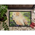 thumbnail image 3 of Carolines Treasures SS8833JMAT Paillasson Golden Retriever 24 x 36 Po., 3 of 4