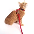 thumbnail image 2 of 2 Ensembles Harnais Leashes pour Animaux de Compagnie Ajustables Sangle en Nylon Robuste Cat Leashes avec Harnais pour la Marche, 2 of 8