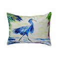 thumbnail image 1 of Betsy Drake NC810 16 x 20 in. Blue Egret No Cord Pillow, 1 of 1
