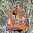 thumbnail image 3 of Multi Color Hanging Bird Toy for Parrot Playing Made of Plastic Safe and Entertaining, 3 of 8