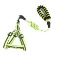thumbnail image 1 of CAROOTU Mains Libres Laisse pour la Marche de Course Réfléchissant Réglable Ceinture en Nylon Chien Formation Tractions Corde Nouveau, 1 of 7