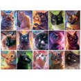 thumbnail image 3 of 750P CATS - FRENCH, 3 of 5