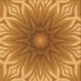 thumbnail image 1 of Ahgly Company Machine Washable Indoor Square Transitional Dark Orange Area Rugs, 6' Square, 1 of 7