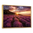 thumbnail image 2 of Designart Sunrise & Dramatic Clouds Over Lavender Field IV FLOAT FRAME WALL ART, 2 of 4