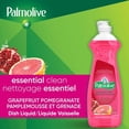 thumbnail image 3 of Palmolive Essential Clean Liquid Dish Soap, Grapefruit Pomegranate Scent - 16 Fluid Ounce, 3 of 4