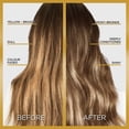 thumbnail image 3 of L'Oréal Paris Le Color Gloss, Gloss pour Cheveux en 1 Étape, 3 of 7