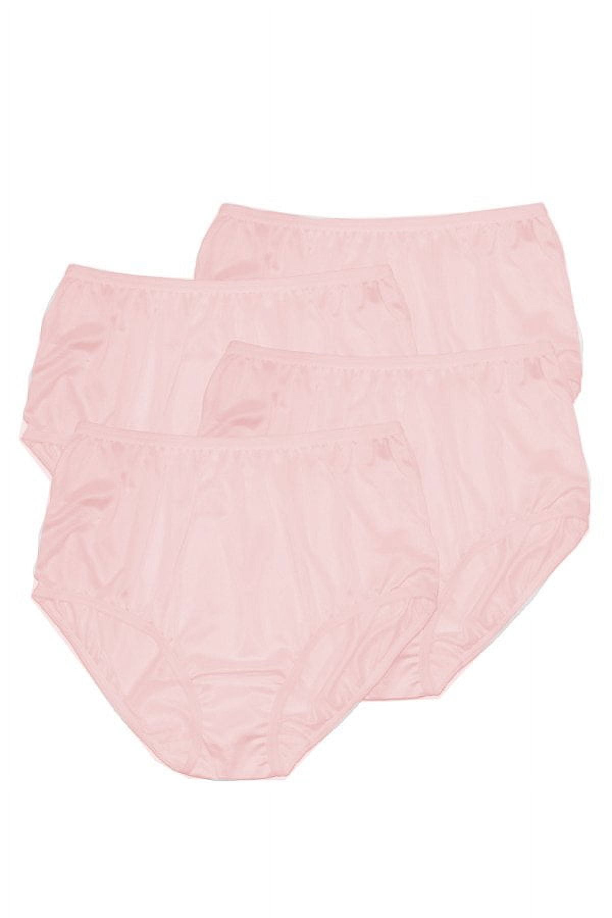 Teri Lingerie Plain Jane Full Cut Nylon Brief 4-Pack 331