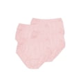 thumbnail image 1 of Teri Lingerie Plain Jane Full Cut Nylon Brief 4-Pack 331, 1 of 4