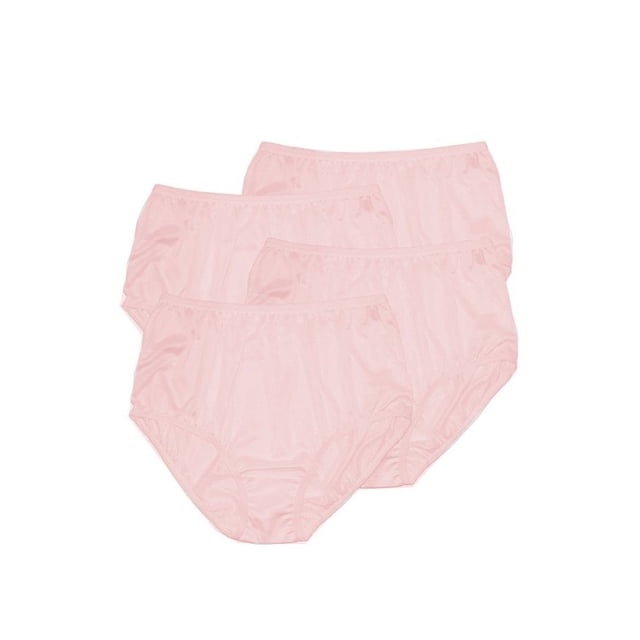 Teri Lingerie Plain Jane Full Cut Nylon Brief 4-Pack 331