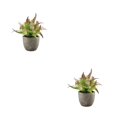 thumbnail image 4 of Decodeary Green Eco-friendly Artificial Money Tree In Pot Long-lasting Durability Realistic Appearance purple rose 2Set, 4 of 6