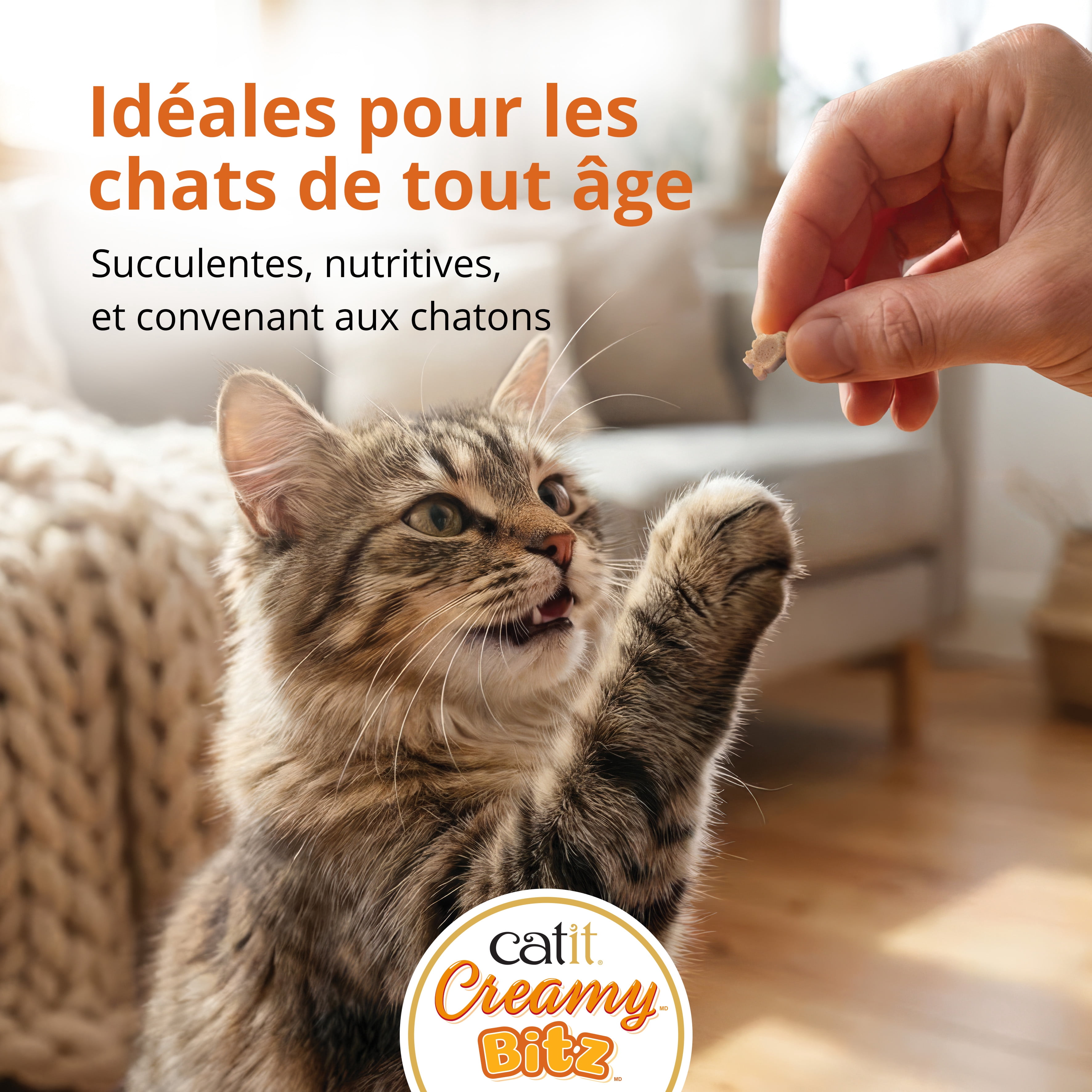 Gâteries pour chats Catit Creamy Bitz, recettes au poulet et canard, 48 G