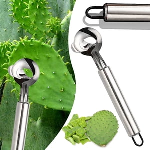 Multifunctional Stainless Steel Kitchen Knife for Cactus Thorn Removal Ergonomic Noodle Cutting Tool 18.7cm Culinary Blade 2-Pcs Professional Grade Chamfering Knife Set