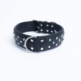thumbnail image 1 of ATHENS Leather Dog Collar Multi- Row Rhinestones, 1 of 4