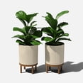thumbnail image 3 of Veradek Mason Series Raised Demi 12" Plastic-Stone Planter with Stand - 2-Pack Sand/Brown, 3 of 10