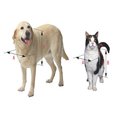 thumbnail image 4 of Ideal Pet Produits IPP-SGM Protection d'Écran Porte pour Animaux, Moyen, 4 of 4