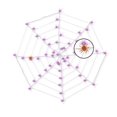 thumbnail image 2 of Purple LED Web Lights w/ 2 Spiders - 5 Ft, 2 of 4
