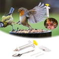 thumbnail image 2 of Bird Feeding Feeding Kit 6PCS Feeding Feeding Tube With Hose And Spoons Reuseable Hand Feeding Device For Hand Feeding Small Animals Birdhouse Stand Suet Feeders for outside Pole for Feeders for, 2 of 7
