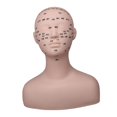 thumbnail image 3 of Practice Training Mannequin Multifunction for extension head model Massage Home Black, 3 of 9