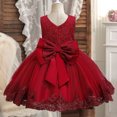 thumbnail image 4 of Birdeem Robe Sans Manches à Col Rond pour Filles Été Nouvelle Jupe Princesse en Dentelle à Volants Broderie Nœud en Maille, 4 of 12