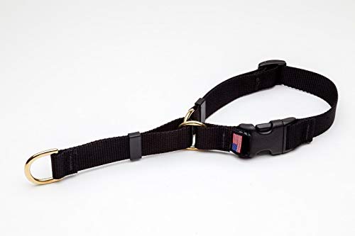 MPP Deluxe Martingale Dog Collar Adjustable Heavy Soft Brass Hardware (Large 18 to 23 Inches, Black)
