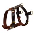 thumbnail image 1 of Genuine Leather Dog Harness - Adjustable Chest for XL Dogs - Brown, 1 of 1