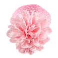 thumbnail image 1 of Kcodviy Bébé Enfants Filles Dentelle Mon Registre de Bébé Compte Fleur Bandeau Serre-Tête Robe Format Voyage Lingettes pour Bébé Bandeau Rose, 1 of 1