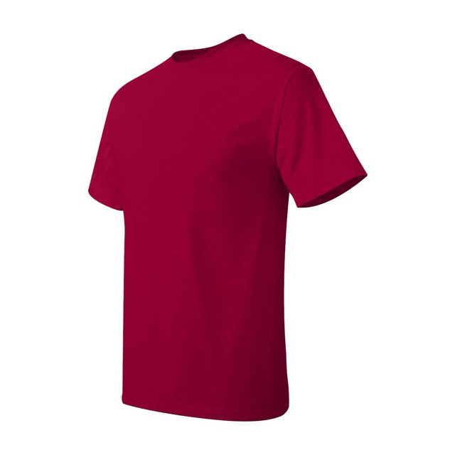Hanes Men's Authentic-T T-Shirt - 5250T (Pack Of 5)