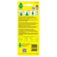 thumbnail image 3 of LITTLE TREES air freshener Pure Steel 3-Pack, 3 of 7