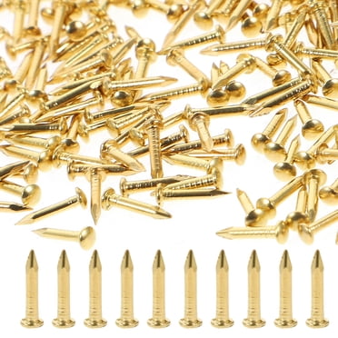 SHISUYAN 200pcs Small Round Nails Brass Nail for Miniature Furniture Small Hinges DIY Projects 8mm