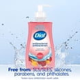 thumbnail image 4 of Dial Antibacterial Liquid Hand Soap, Pomegranate Tangerine Scent, 325ml, Dermatologist Tested, pH Balanced, Free from Silicones, Parabens, Phthalates, SLES/SLS, 4 of 9