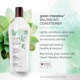 thumbnail image 3 of Bain de Terre GREEN MEADOW BALANCING CONDITIONER 400ML, 3 of 8