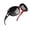 A03-Black Red Frame/Black Lens, variant on Joopin Polarized Sunglasses Womens Trendy Oversized Large Driving Sun Glasses Ladies UV Protective Big Sunnies Shades (Blue)
