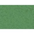 thumbnail image 1 of Ahgly Company Tapis Rectangulaire Lavable en Machine Intérieur Transitionnel Vert Forêt, 2 Pieds x 4 Pieds, 1 of 7