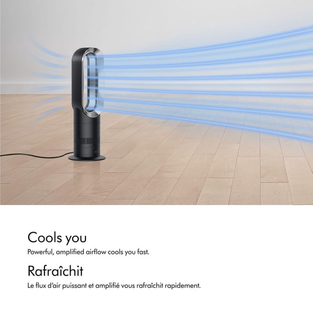 Dyson AM09 Hot + Cool Fan Heater - Walmart.ca