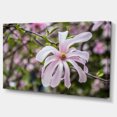thumbnail image 2 of Beautiful Magnolia Flowers - Large Floral Canvas Art Print, 2 of 3
