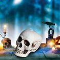 thumbnail image 1 of Yhmxh Halloween Decorations,Party Favors,Halloween Skeletons Plastic Realistic Fake Simulation Human Skull HeadBone Model Halloween Prop Realistic Mini Skeleton Spooky Halloween Decoration, 1 of 5