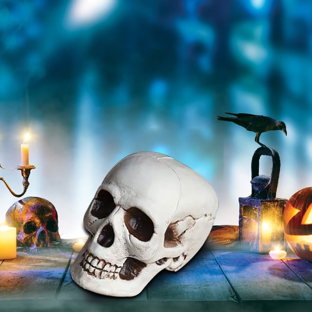 Yhmxh Halloween Decorations,Party Favors,Halloween Skeletons Plastic Realistic Fake Simulation Human Skull HeadBone Model Halloween Prop Realistic Mini Skeleton Spooky Halloween Decoration