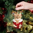 thumbnail image 2 of Christmas Decorations Acrylic Stockings for Cats - Tree Hangs Festive Crafts Unique Holiday for Home Decoration, 2 of 4