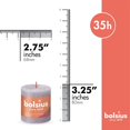 thumbnail image 2 of BOLSIUS 4 Pack Frosted Lavender Rustic Pillar Candles - 2.75 X 3.25 inches - Premium European Quality - Natural Eco-Friendly Plant-Based Wax - Unscented Dripless Smokeless 35 Hour Party Décor Candles, 2 of 8