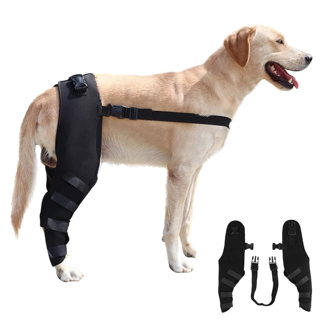 Adjustable black L dog hind leg support brace made of high-quality SBR material, shown on a light-colored dog. The brace features adjustable straps for a secure fit, providing support for arthritis recovery, injury sprain protection, and wound licking prevention. Includes a pair of braces with a durable and skin-friendly design, suitable for active pet leg care and joint protection.