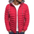 thumbnail image 1 of ITFABS Men Winter Down Jacket, Solid Color Hooded Long Sleeve Zip-Up Outer, 1 of 7