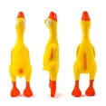 View all media