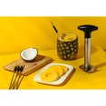 thumbnail image 2 of Vide-ananas, 2 of 4