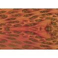 thumbnail image 1 of Ahgly Company Machine Washable Indoor Rectangle Transitional Orange Red Orange Area Rugs, 8' x 10', 1 of 7