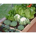 thumbnail image 2 of Kit d'irrigation goutte à goutte pour serre Canopia by Palram, 2 of 6