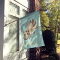 thumbnail image 2 of Carolines Treasures BB8569CHF Raccoon Welcome Flag Canvas House Size, 2 of 4