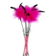 thumbnail image 4 of 2PCS Kitten Teaser Toys Interactive Cat Wand Toy Fake Feather Cat Toy Kitten Toy, 4 of 10