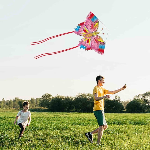 Biomimetic Kites Are Easy To Fly In The Gentle Suitable For Children And Adults They Are Large And High-end With Long Tail That Floats